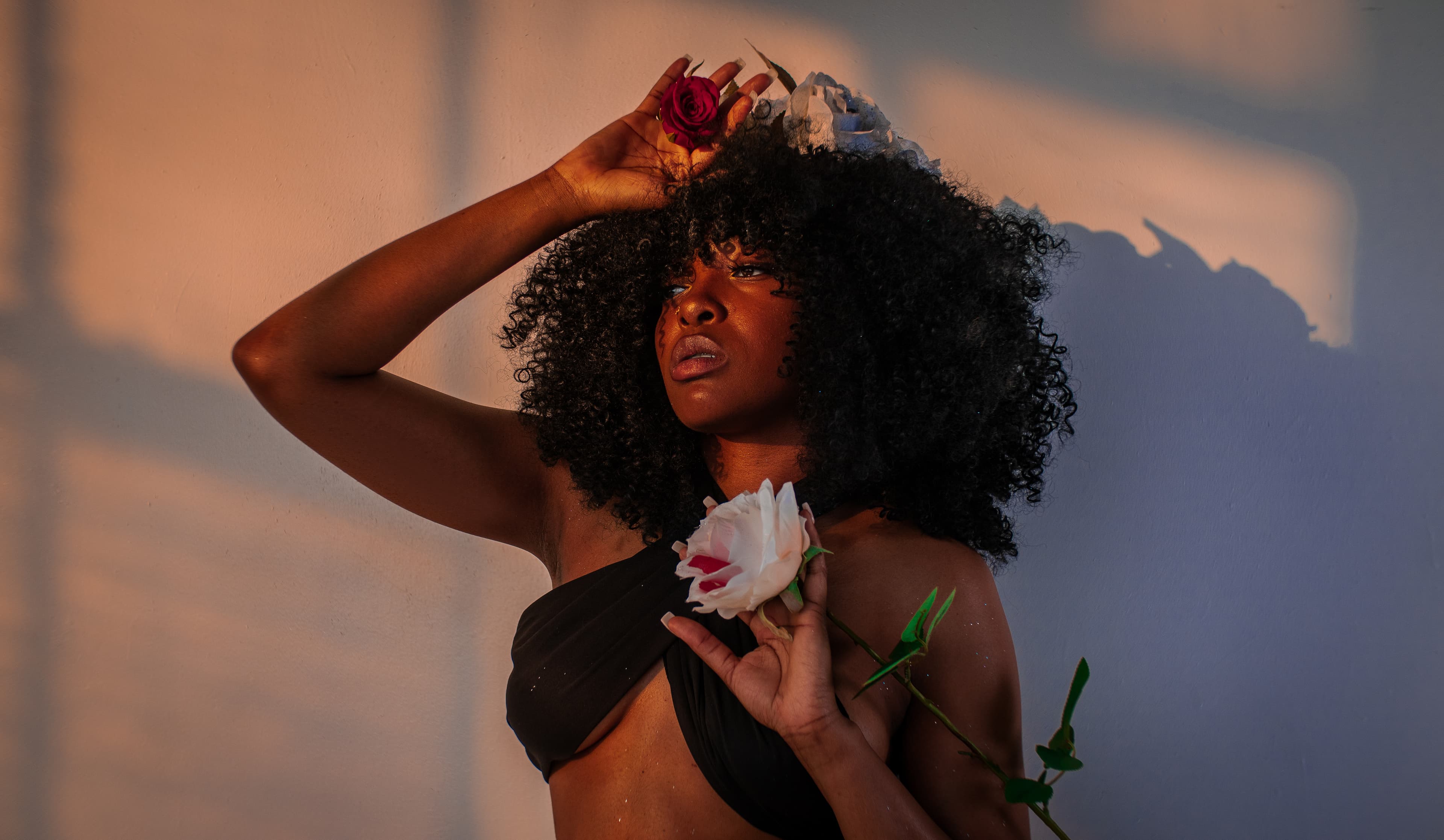 Black woman with voluminous curls holding roses, bathed in warm sunset light and shadows.